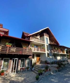 Vila Sorina Borşa